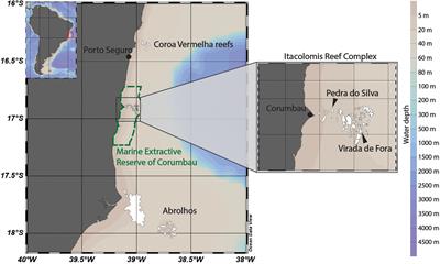 Heat Waves Are a Major Threat to Turbid Coral Reefs in Brazil